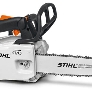 Motosega Stihl MS 194 T con Barra Carving