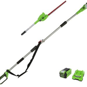 Potatore/Tagliasipei a batteria Greenworks 40V - Batteria da 2Ah/40V