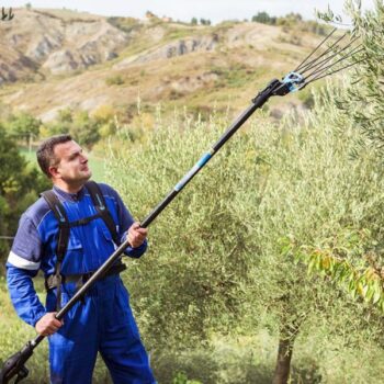 2Icarus58-e1654080294149