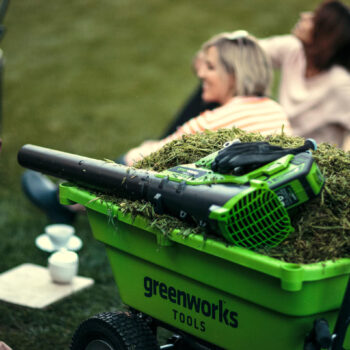 Greenworks_180417_10559
