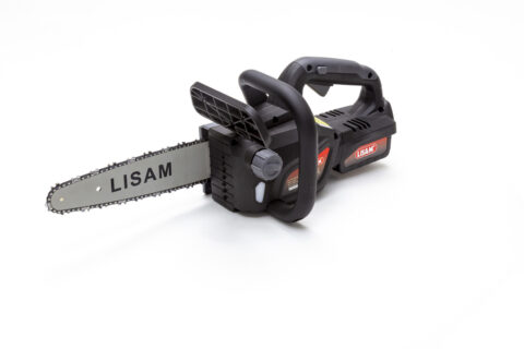 LISAM_SG22_33