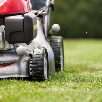 Screenshot 2022-04-01 15.55.27