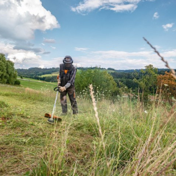 Screenshot 2022-04-01 16.37.08