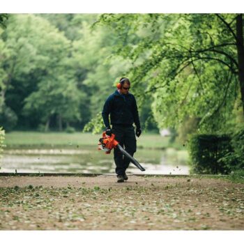 nw798d4b3f23bf668fcea6874a5c4d5000